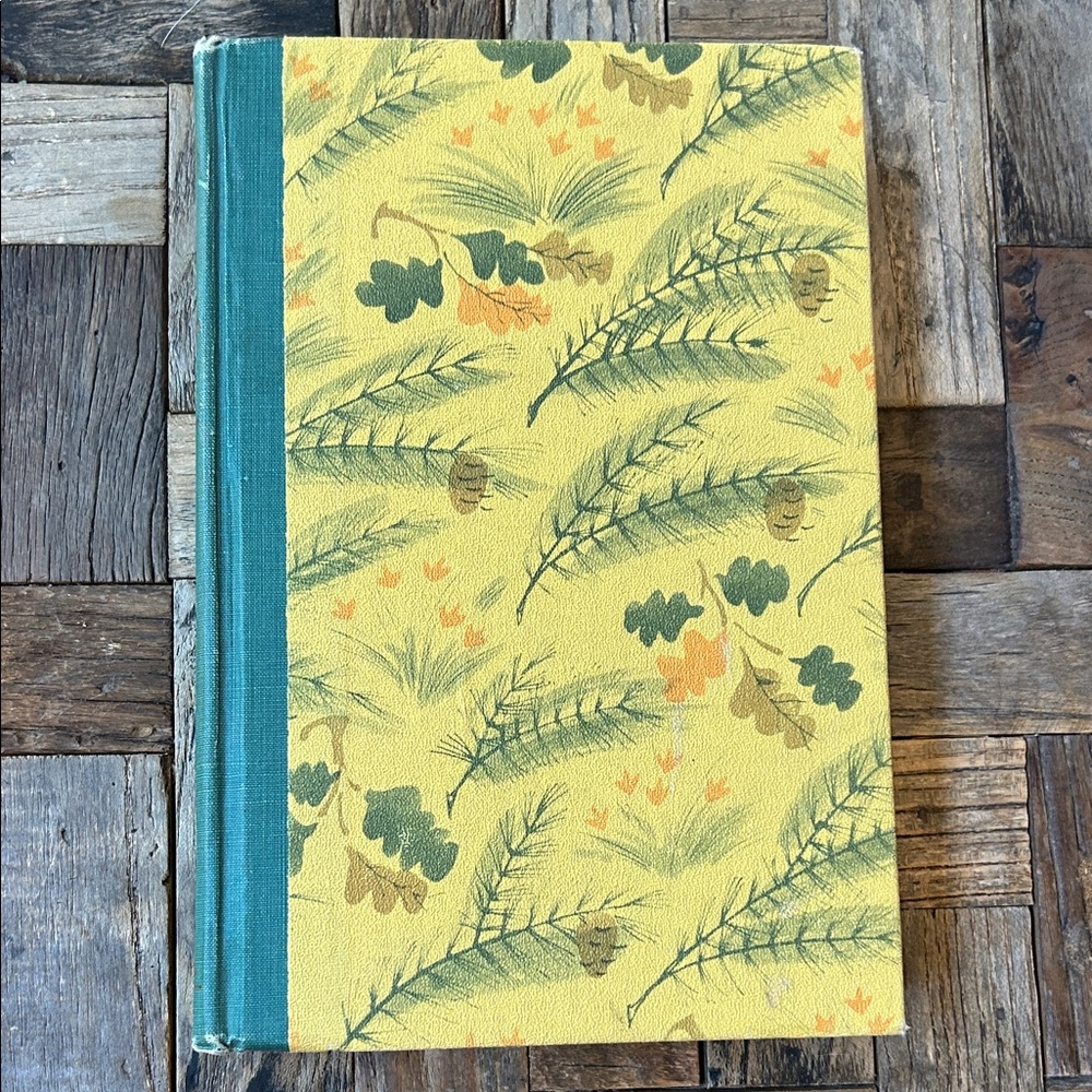 Vintage Classic Heidi Hardcover Book 1946 The World Publishing Company